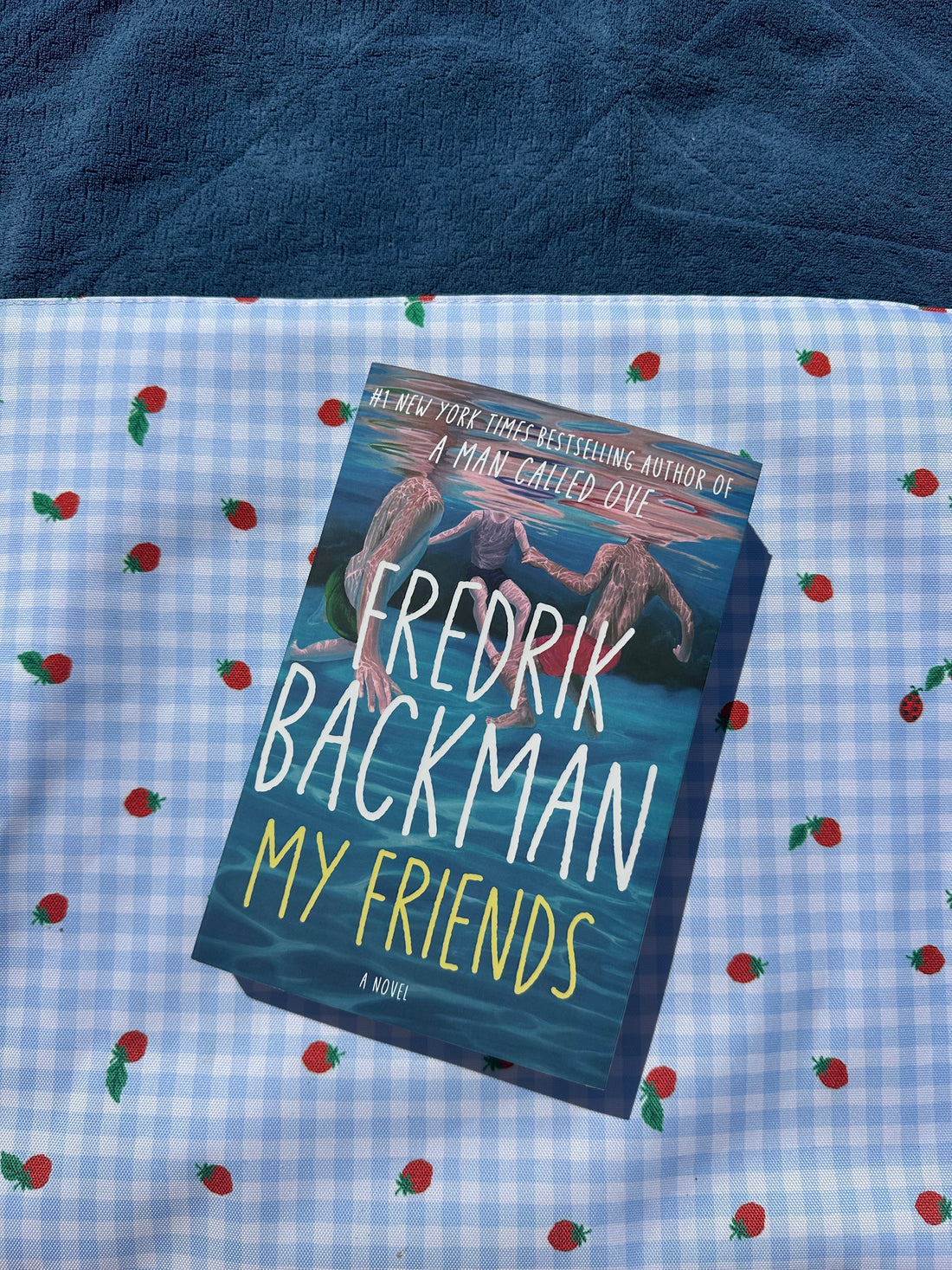 My Friends by Fredrik Backman